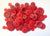 Mixed Assorted Colour Buttons