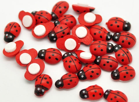 Self Adhesive Wooden Ladybirds (Mini)