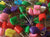Mixed Colours Baby Nappy Pins